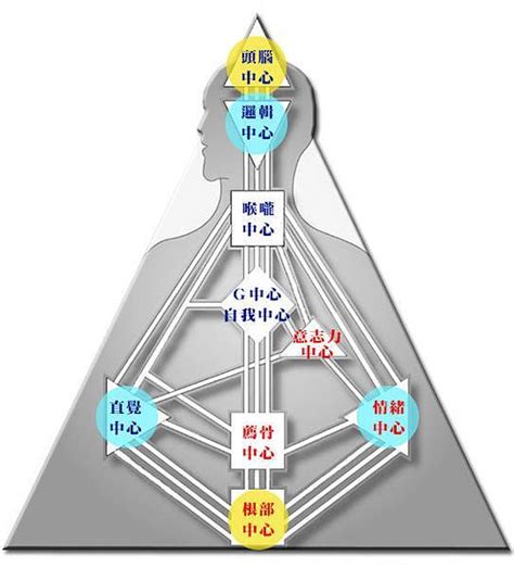 九大能量|九大能量中心 人類圖初學者懶人包